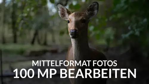 100 MP Bilder in Lightroom bearbeiten