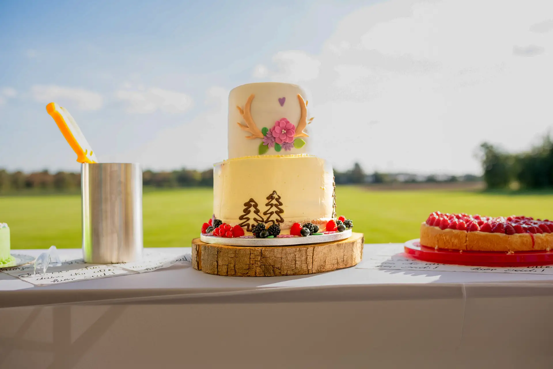 20180915 17 18 59 20180915 17 18 59 Geng Rummer Speyer Reilingen MK3 7238 Hochzeitstorte Blumen Beeren Gruen Hochzeitsfotograf Reilingen Speyer Ida Philipp.CUc4ev8E Hochzeitstorte mit Blumen, Beeren und Holzscheibe auf grünem Rasen