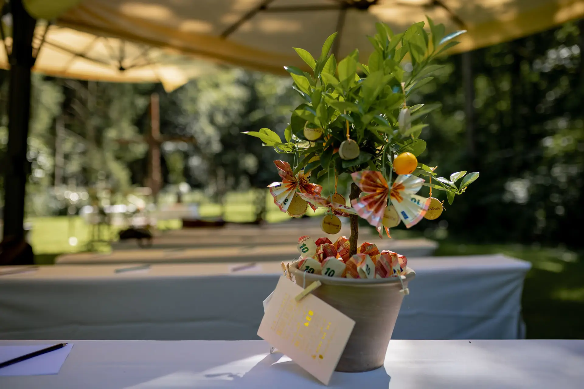 20230811 13 34 21 Hochzeit Elztal Hochzeitsfotograf Heiraten Heidelberg Landgasthof Heidersbacher Muehle 4K8A0453.BKXDcRlT Kreatives Geldgeschenk der Gäste: Topf mit Zitruspflanze liebevoll mit Geldscheinen geschmückt