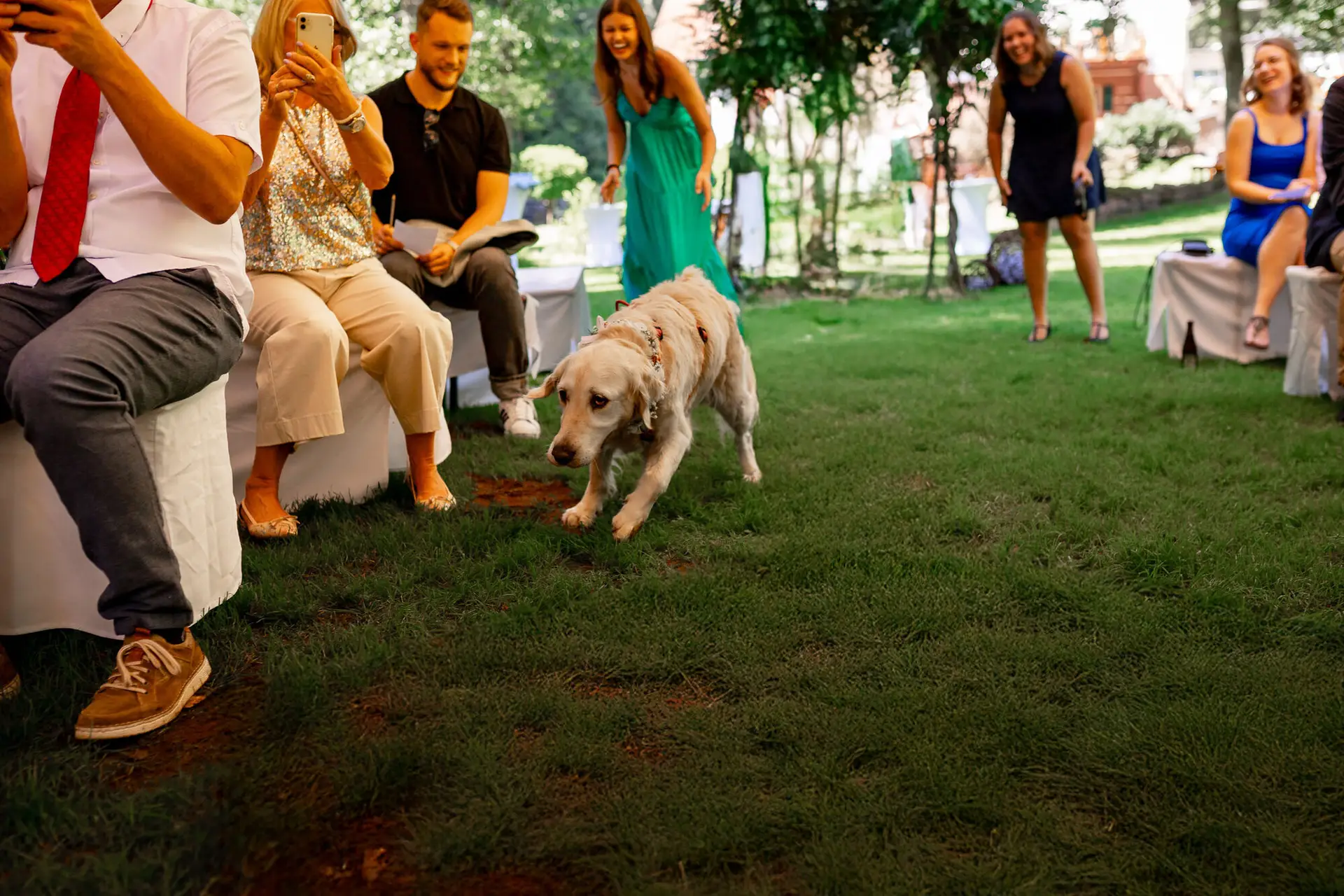 20230811 14 59 06 Hochzeit Elztal Hochzeitsfotograf Heiraten Heidelberg Landgasthof Heidersbacher Muehle 4K8A1698.B01R0UCM Gäste sitzen auf Wiese beim Sektempfang, Labrador-Welpe läuft fröhlich quer durch den Bildrahmen