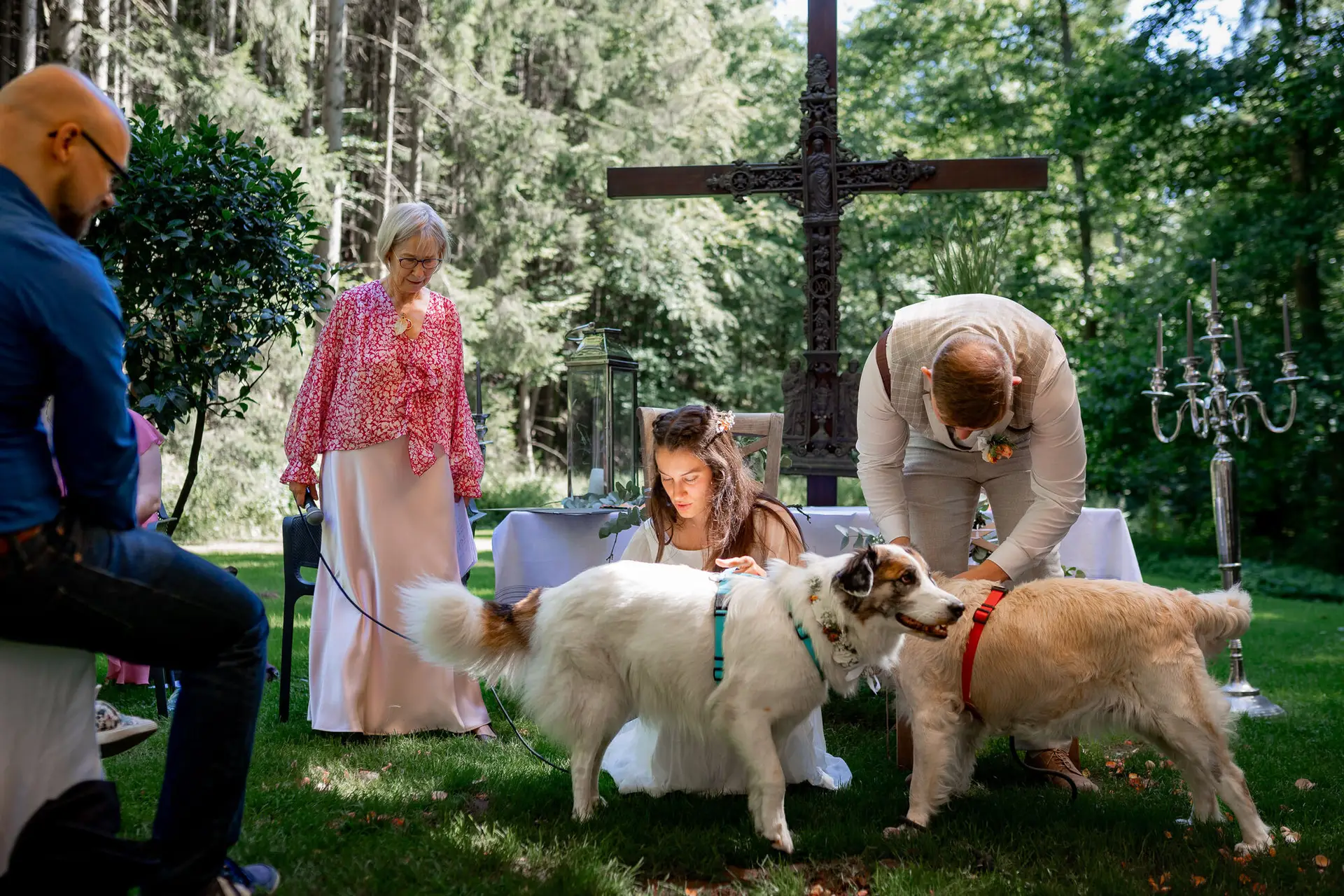 20230811 14 59 22 Hochzeit Elztal Hochzeitsfotograf Heiraten Heidelberg Landgasthof Heidersbacher Muehle 4K8A1740.DX5PUhW5 Brautpaar bei der Zeremonie, Hunde lecken begeistert die Beine – niemand kann ernstbleiben