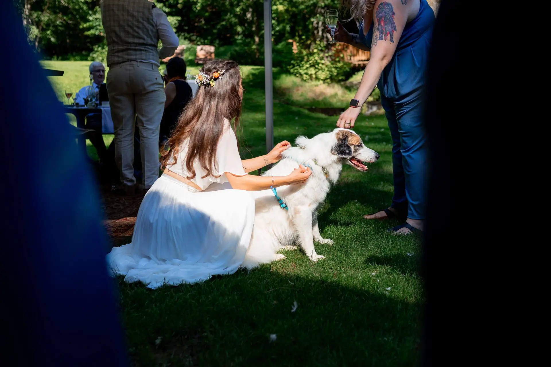 20230811 16 02 37 Hochzeit Elztal Hochzeitsfotograf Heiraten Heidelberg Landgasthof Heidersbacher Muehle 4K8A4982. IobSITw Braut und weißer Hund auf der Wiese – eine Frau versucht dem Hund beim Sektempfang etwas anzubieten