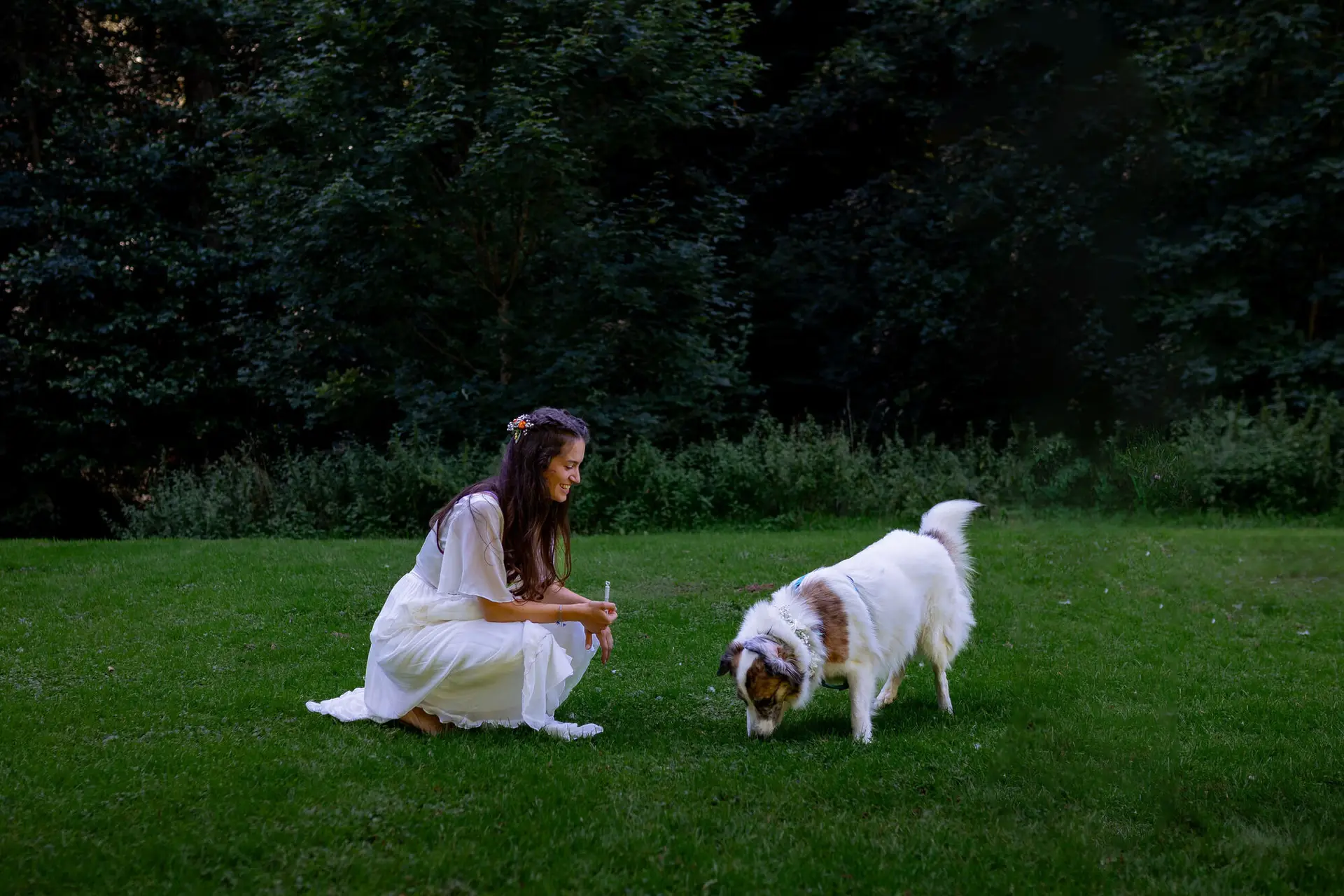 20230811 16 15 33 Hochzeit Elztal Hochzeitsfotograf Heiraten Heidelberg Landgasthof Heidersbacher Muehle 4K8A5057.DuTYeOju Braut sitzt auf grüner Wiese und bietet dem braun-weißen Hund eine Blume an