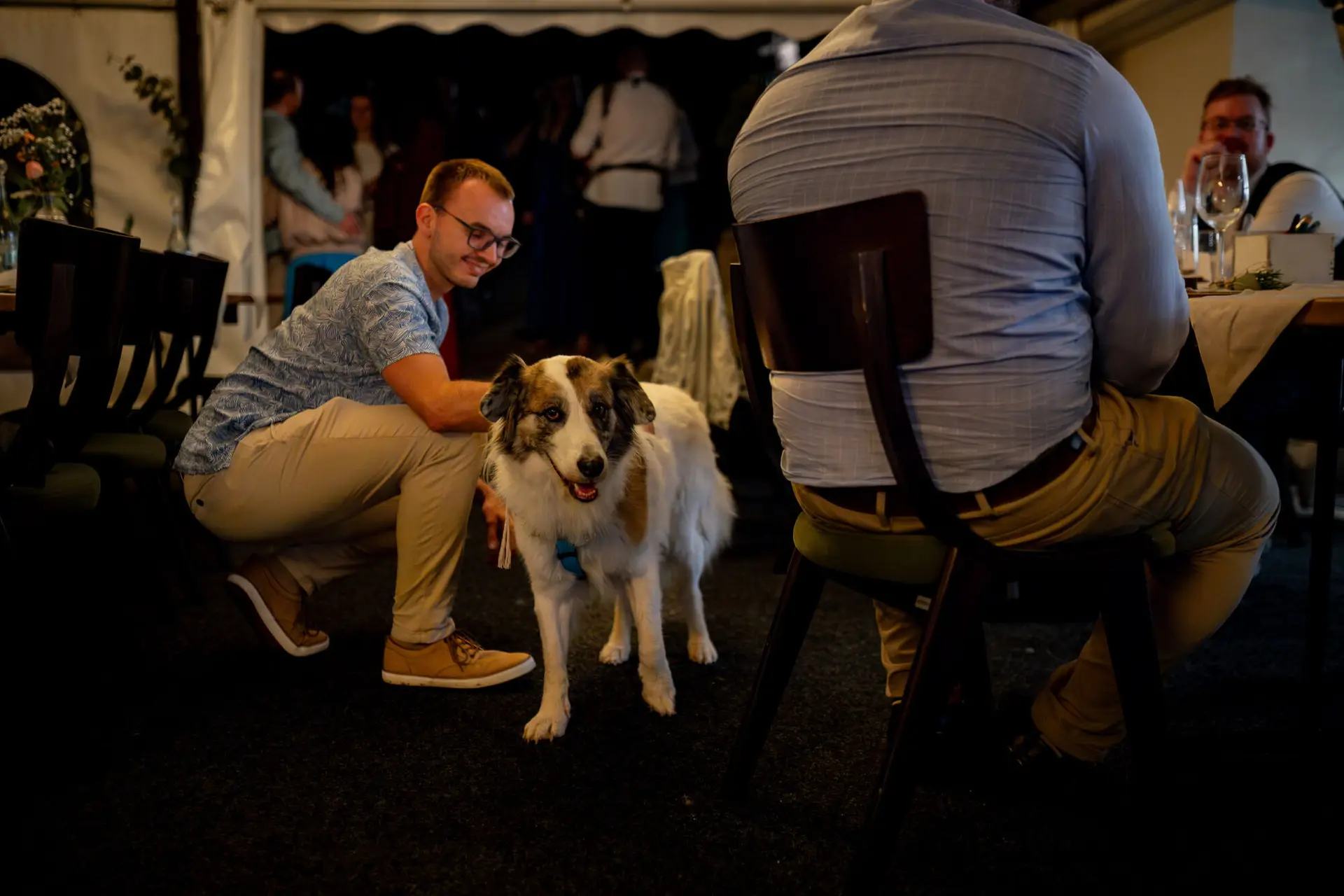 20230811 22 51 16 Hochzeit Elztal Hochzeitsfotograf Heiraten Heidelberg Landgasthof Heidersbacher Muehle 4K8A0300 Verbessert RR.CLHNxezf Gast streichelt liebevoll den weißen Hund bei später Feier – Hunde bleiben bis zum Schluss dabei