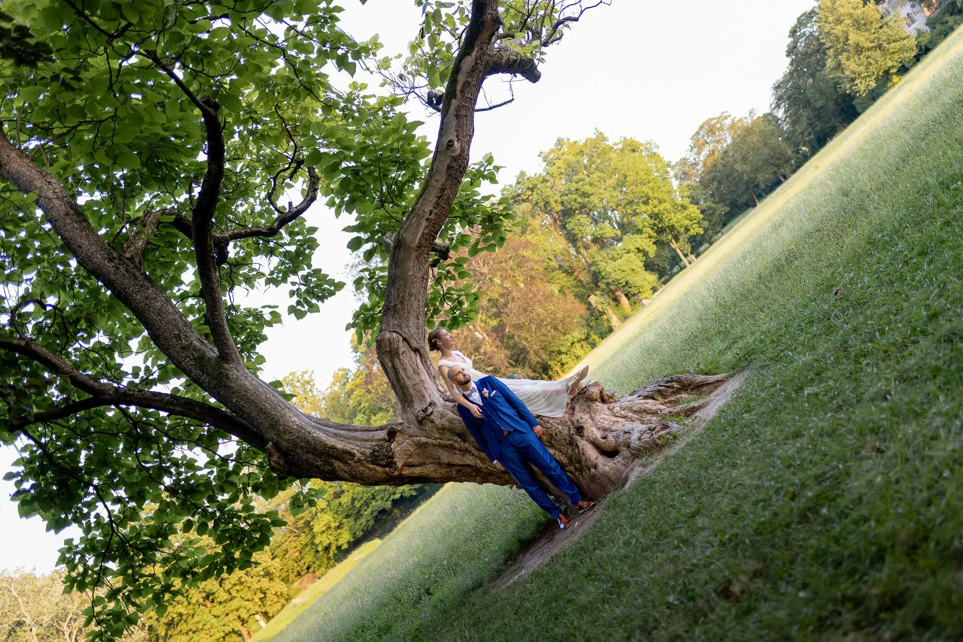 20240820 19 26 25 Schlossgarten Worms Herrnsheim 4K8A8279 Hochzeitsfotograf Matthias Butz.UzqmimLQ Brautpaar liegt verspielt an den Wurzeln eines großen alten Baumes auf der grünen Wiese