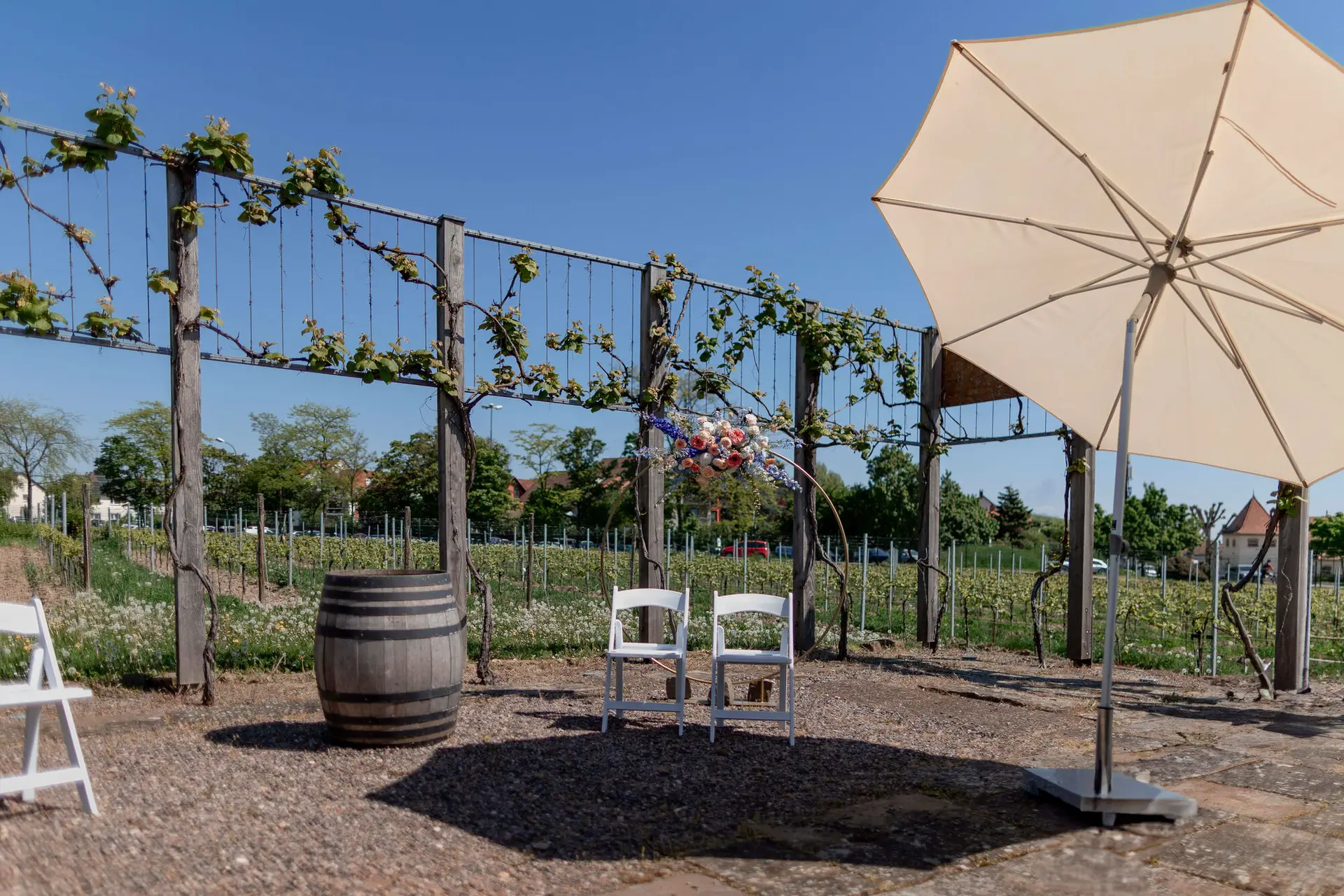 Freie Trauung-Setup mit weißen Stühlen und Sonnenschirm inmitten der Weinreben