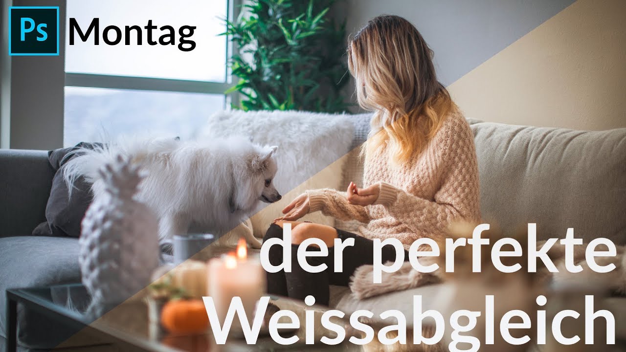 Bild für Der perfekte Weißabgleich