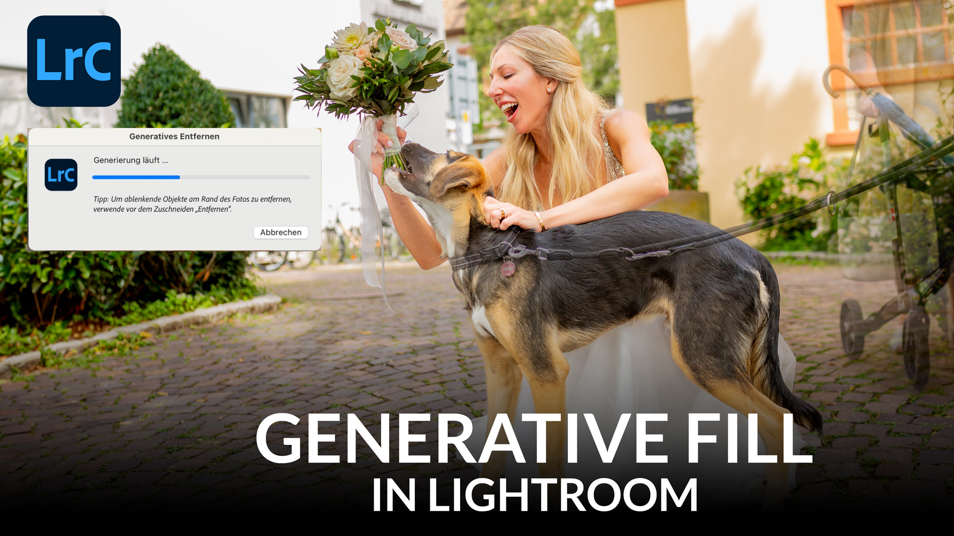 Bild für Generative Fill in Lightroom