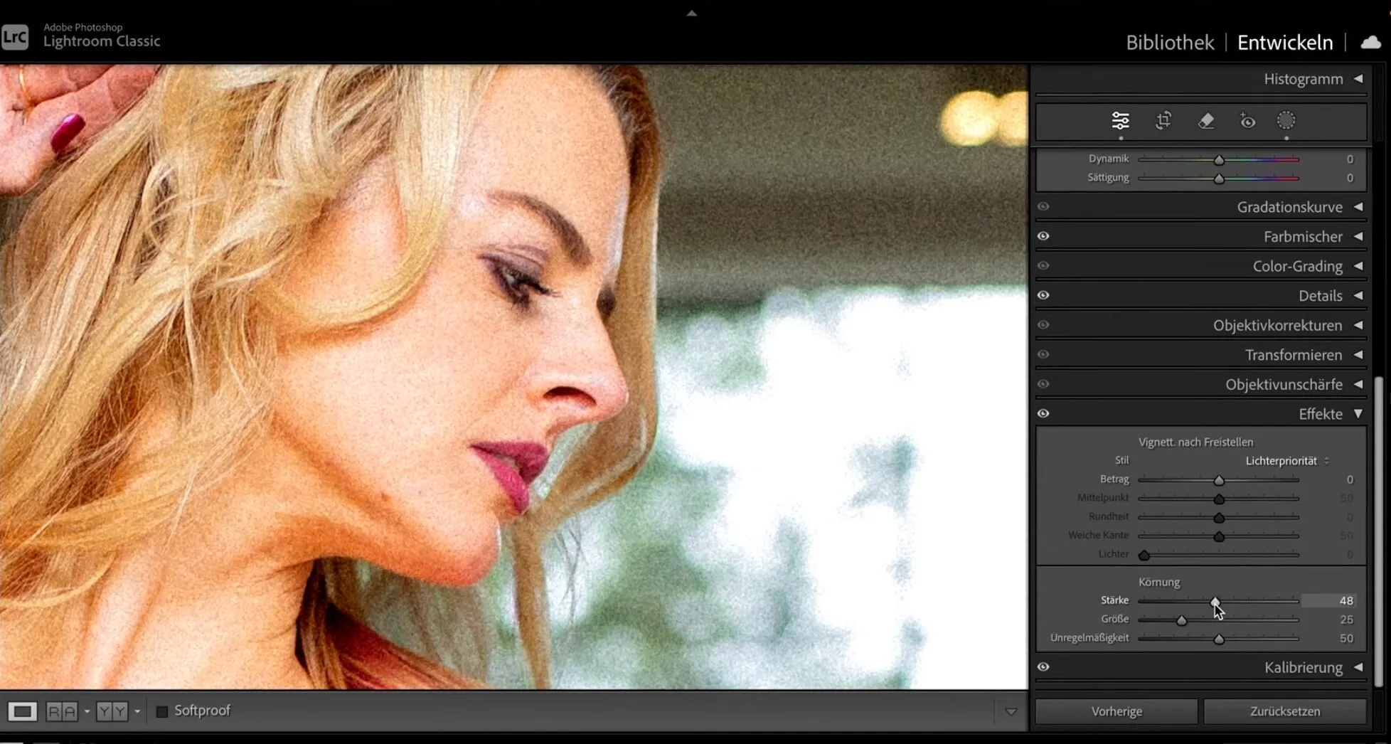 rauschen-hinzufuegen-um-das-bild-zusammenzubacken