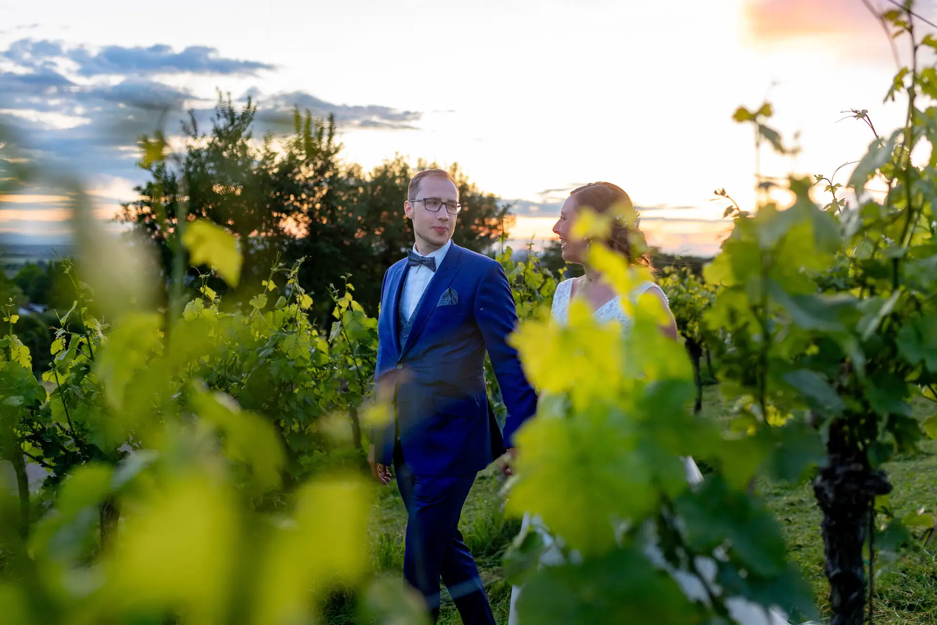 Verena Florian Grenzhof Weinreben Abendlicht.DORJP2s4 Brautpaar schlendert eng umschlungen durch die Weinreben des Grenzhofs bei warmem Abendlicht
