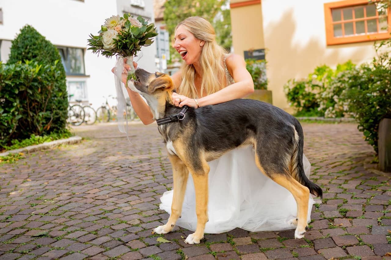 Hochzeitsfotograf in Mannheim