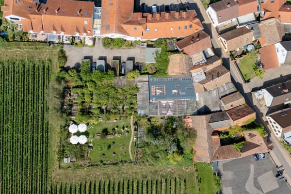 hochzeitsfotograf-neustadt-hambacher-schloss-ruppertsberg-kellers-keller-21.jpg