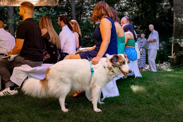 20230811 14 37 37 Hochzeit Elztal Hochzeitsfotograf Heiraten Heidelberg Landgasthof Heidersbacher Muehle 4K8A1334.TvrUoI45 20230811-14-37-37-hochzeit-elztal-hochzeitsfotograf-heiraten-heidelberg-Landgasthof-Heidersbacher-Muehle-4K8A1334.jpg