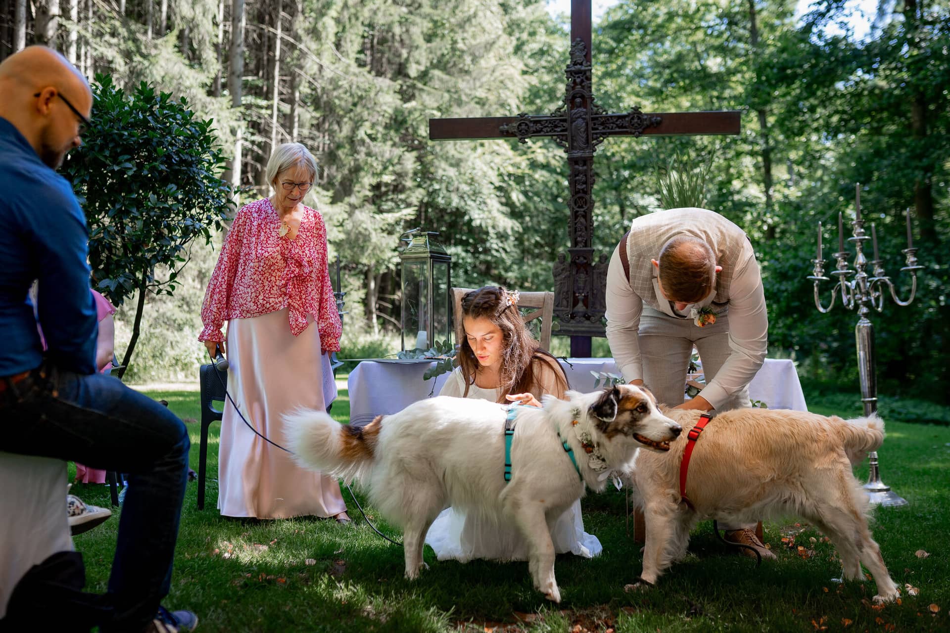 20230811 14 59 22 Hochzeit Elztal Hochzeitsfotograf Heiraten Heidelberg Landgasthof Heidersbacher Muehle 4K8A1740.DX5PUhW5 Brautpaar bei der Zeremonie, Hunde lecken begeistert die Beine – niemand kann ernstbleiben