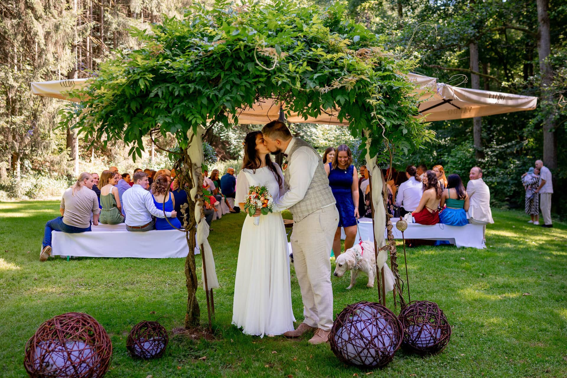 20230811 15 09 29 Hochzeit Elztal Hochzeitsfotograf Heiraten Heidelberg Landgasthof Heidersbacher Muehle 4K8A2110.BGJ1xE11 Brautpaar küsst sich beim Auszug nochmals, weiße Hündin schaut zu, Gäste jubeln