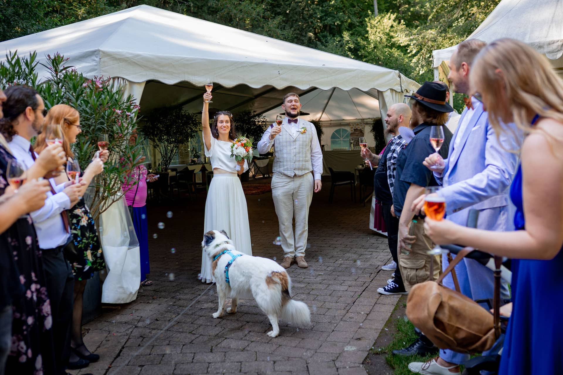 20230811 15 36 29 Hochzeit Elztal Hochzeitsfotograf Heiraten Heidelberg Landgasthof Heidersbacher Muehle 4K8A4768.DH3OzAaY Brautpaar und Hund beim Sektempfang, Gäste stoßen mit Champagnergläsern fröhlich an