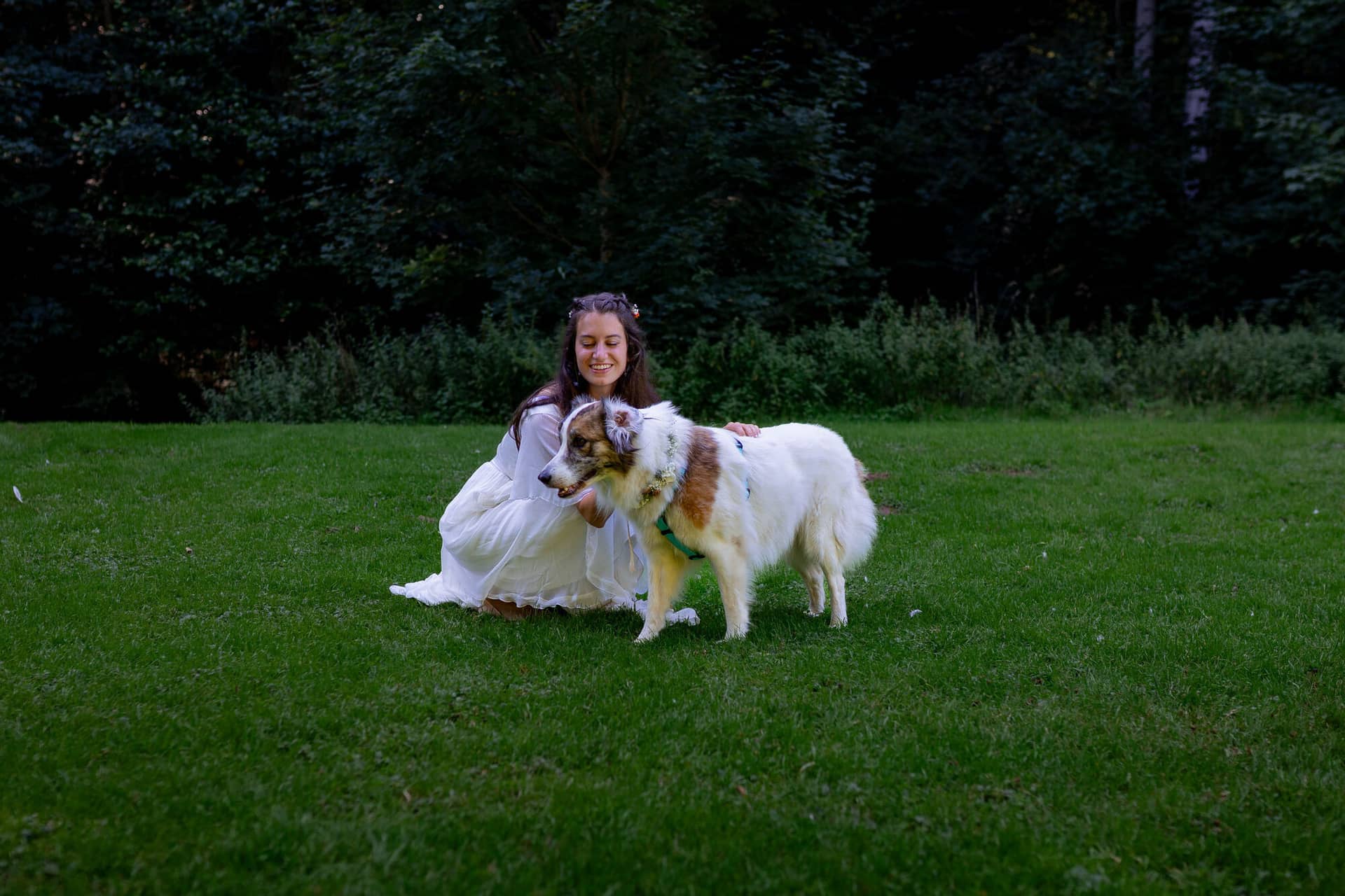 20230811 16 15 45 Hochzeit Elztal Hochzeitsfotograf Heiraten Heidelberg Landgasthof Heidersbacher Muehle 4K8A5093.Nw1TE1Iw Braut auf der Wiese, Border Collie lehnt sich vertrauensvoll und entspannt an sie