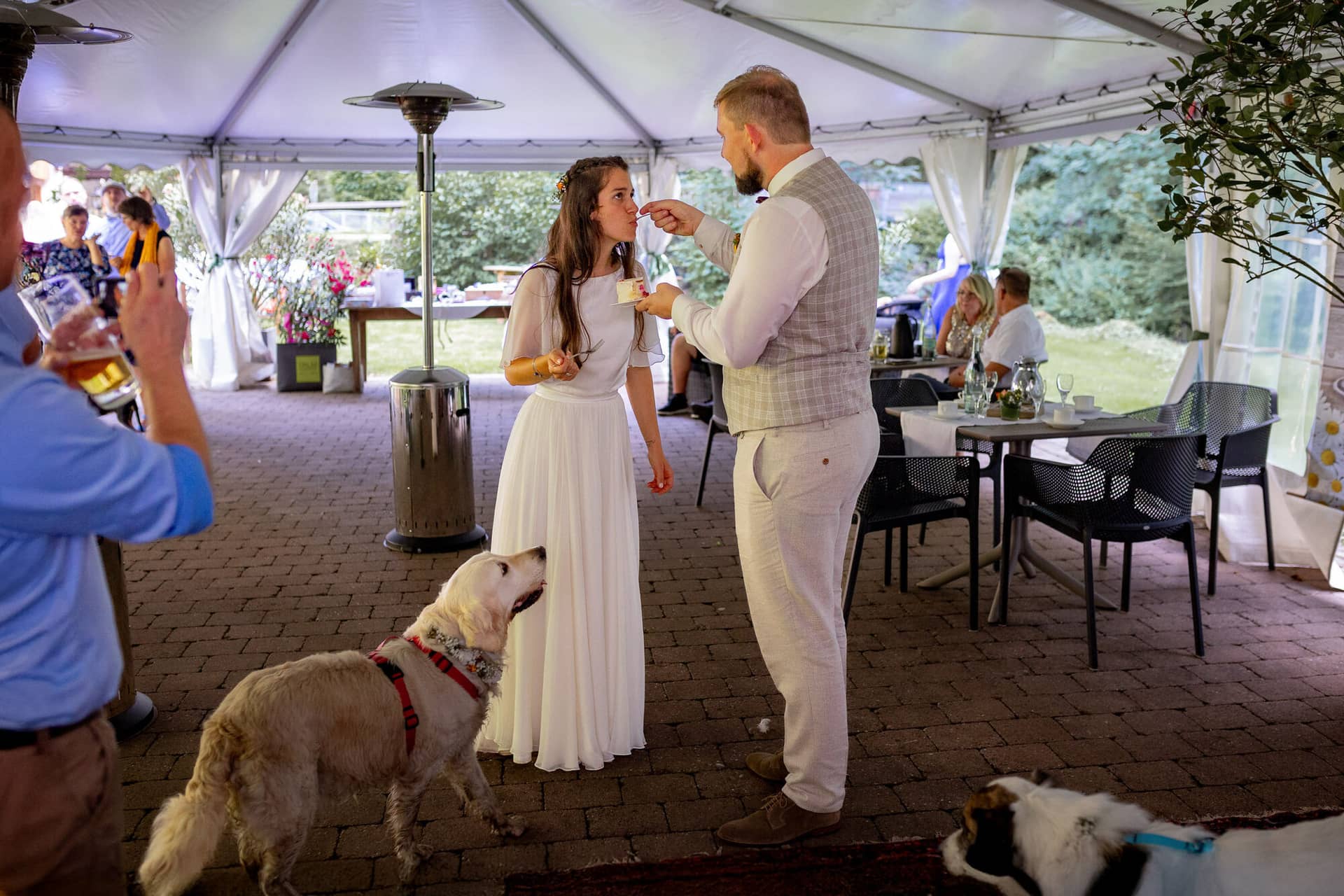 20230811 16 38 28 Hochzeit Elztal Hochzeitsfotograf Heiraten Heidelberg Landgasthof Heidersbacher Muehle 4K8A5730.CIapvaez Brautpaar und Familienhunde teilen das Tortenglück – alle Hunde beäugen gespannt den Kuchen