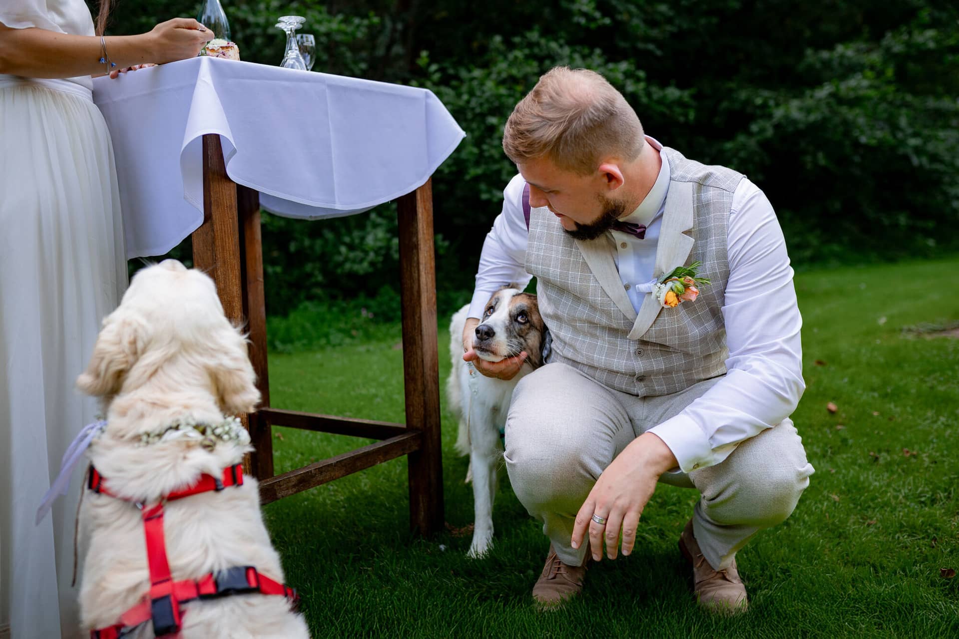 20230811 16 41 25 Hochzeit Elztal Hochzeitsfotograf Heiraten Heidelberg Landgasthof Heidersbacher Muehle 4K8A5828.KcpPhTyn Bräutigam und brauner Hund am Tisch, Braut lächelt glücklich im Hintergrund