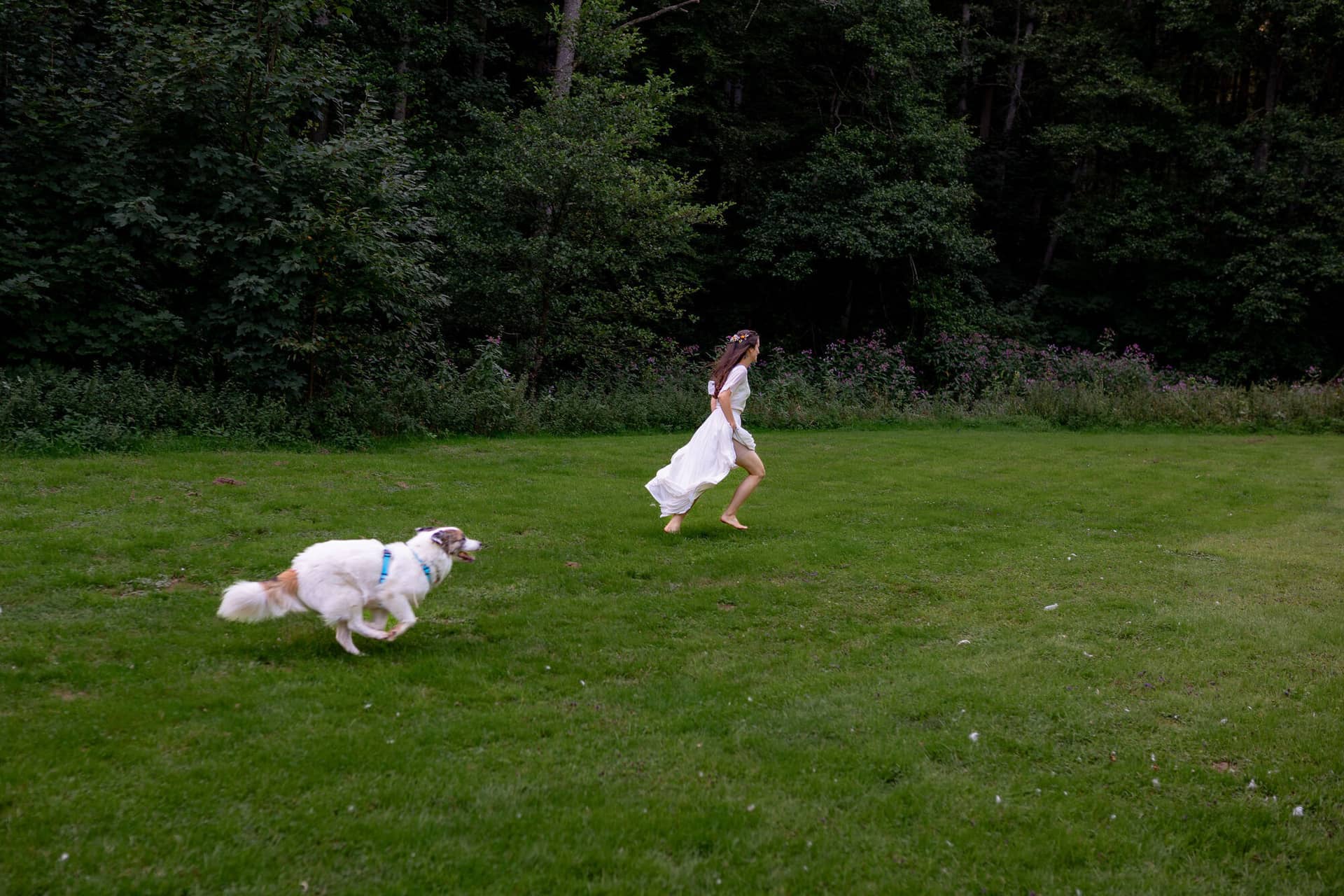 20230811 17 36 17 Hochzeit Elztal Hochzeitsfotograf Heiraten Heidelberg Landgasthof Heidersbacher Muehle 4K8A5867.Crq7lnPm Braut läuft lachend über die sommerliche Wiese, weißer Retriever hinterher