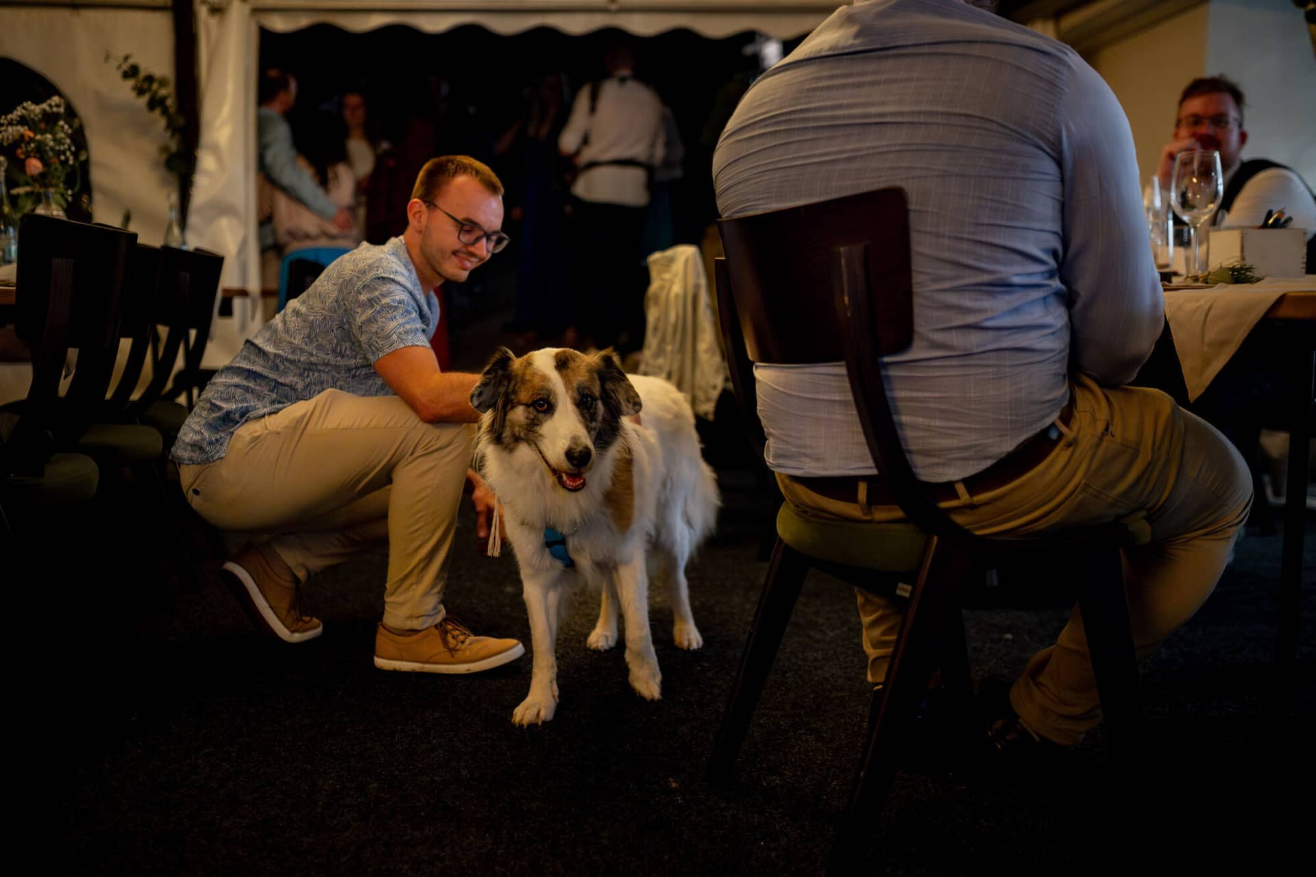 20230811 22 51 16 Hochzeit Elztal Hochzeitsfotograf Heiraten Heidelberg Landgasthof Heidersbacher Muehle 4K8A0300 Verbessert RR.CLHNxezf Gast streichelt liebevoll den weißen Hund bei später Feier – Hunde bleiben bis zum Schluss dabei