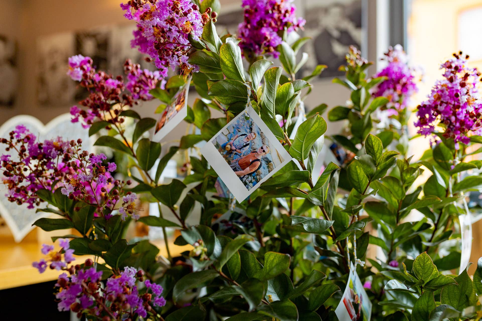 20240803 144552 4K8A7455.D T3sXNn Brautpaar beim Hochzeitstanz umgeben von jubelnden Gästen bei der Feier