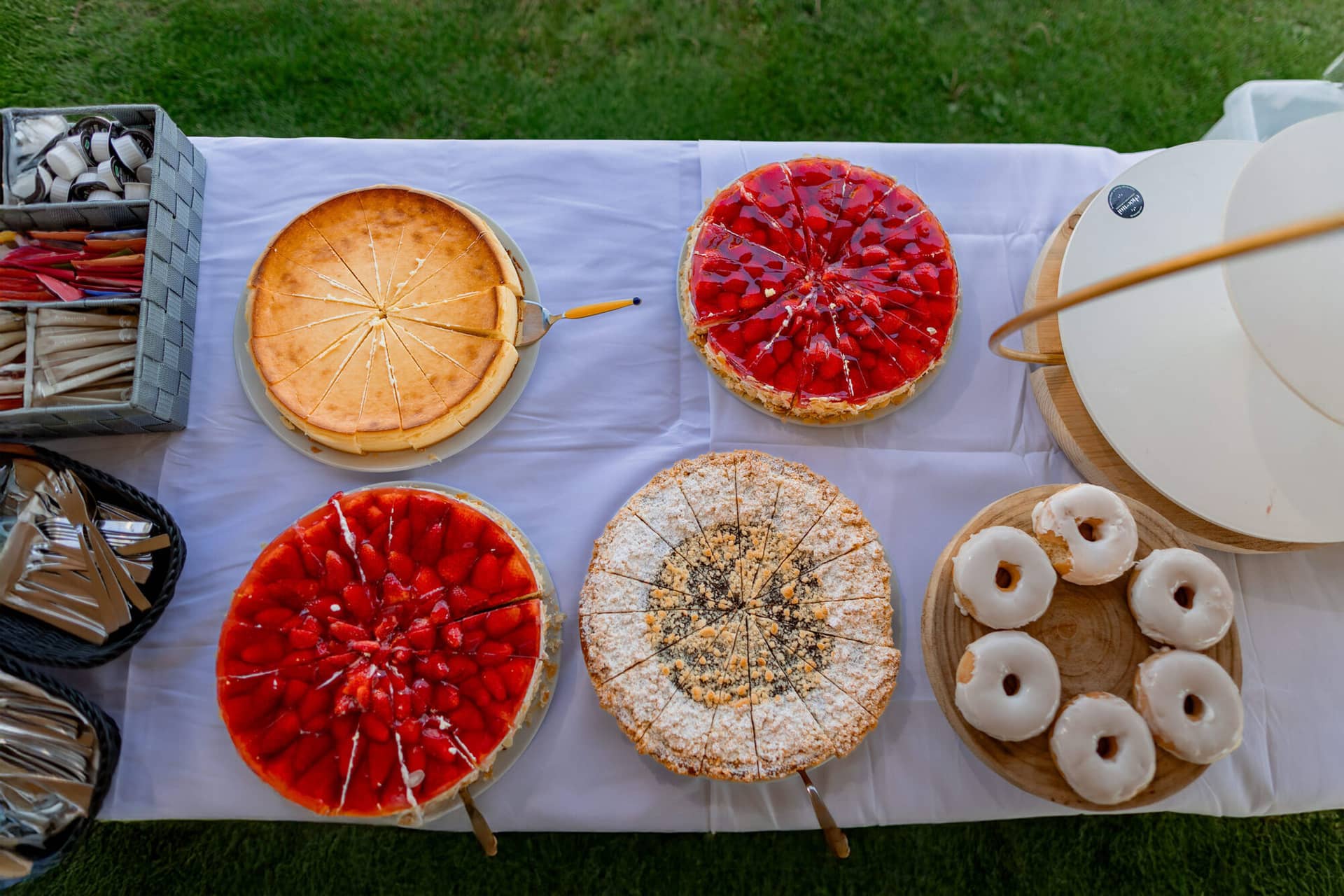 20250501 15 25 144K8A4635 Trauung Bad Duerkheim Fritz Ritter Hochzeitsfotograf.DeCqaII8 Braut und Hochzeitsgast richten gemeinsam Brautkleid in den Weinreben