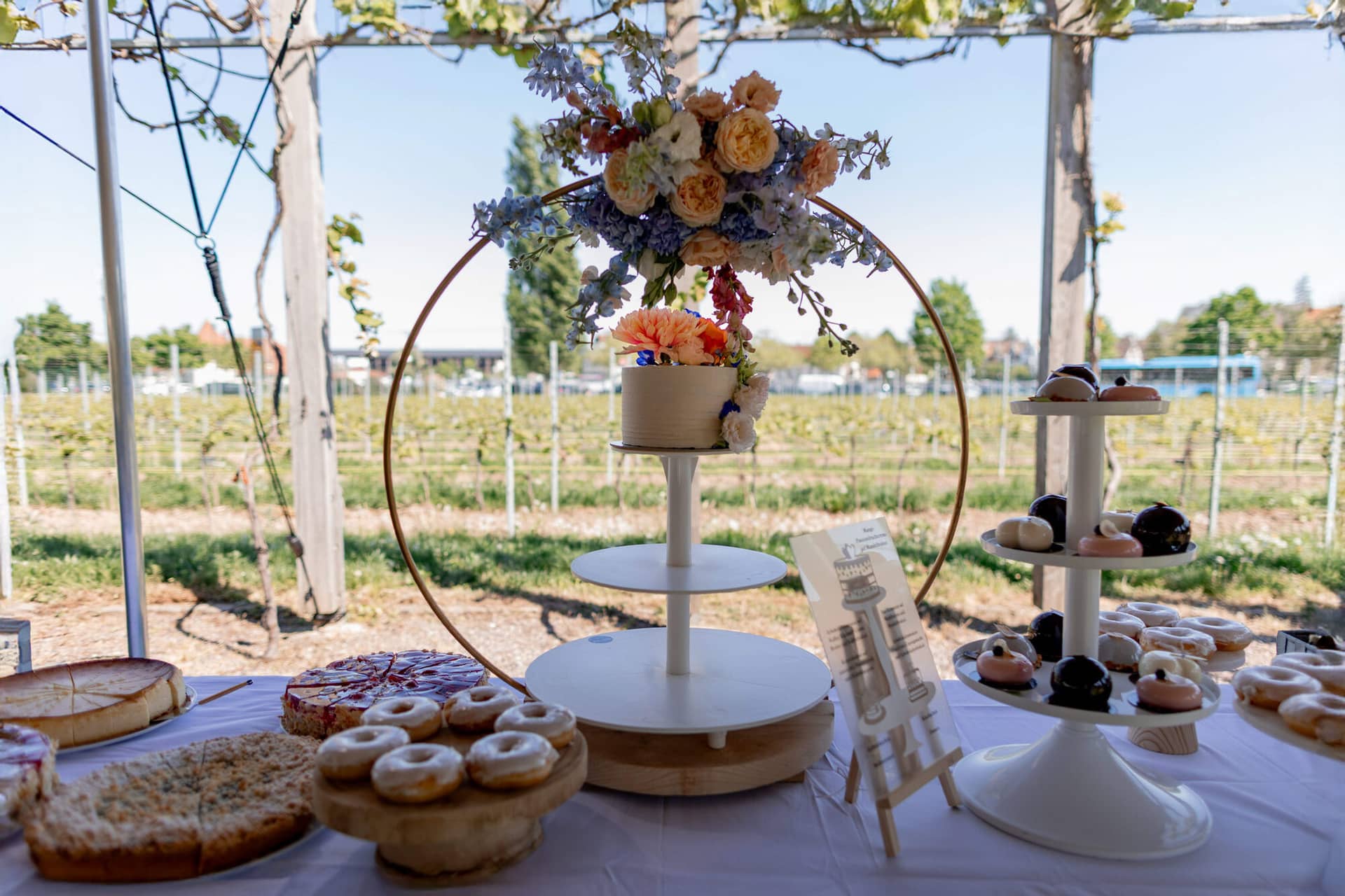 20250501 15 25 314K8A4644 Trauung Bad Duerkheim Fritz Ritter Hochzeitsfotograf.BQ5dy E7 Trauzeugin arrangiert Brautkleid-Schleppe zwischen den Weinstöcken
