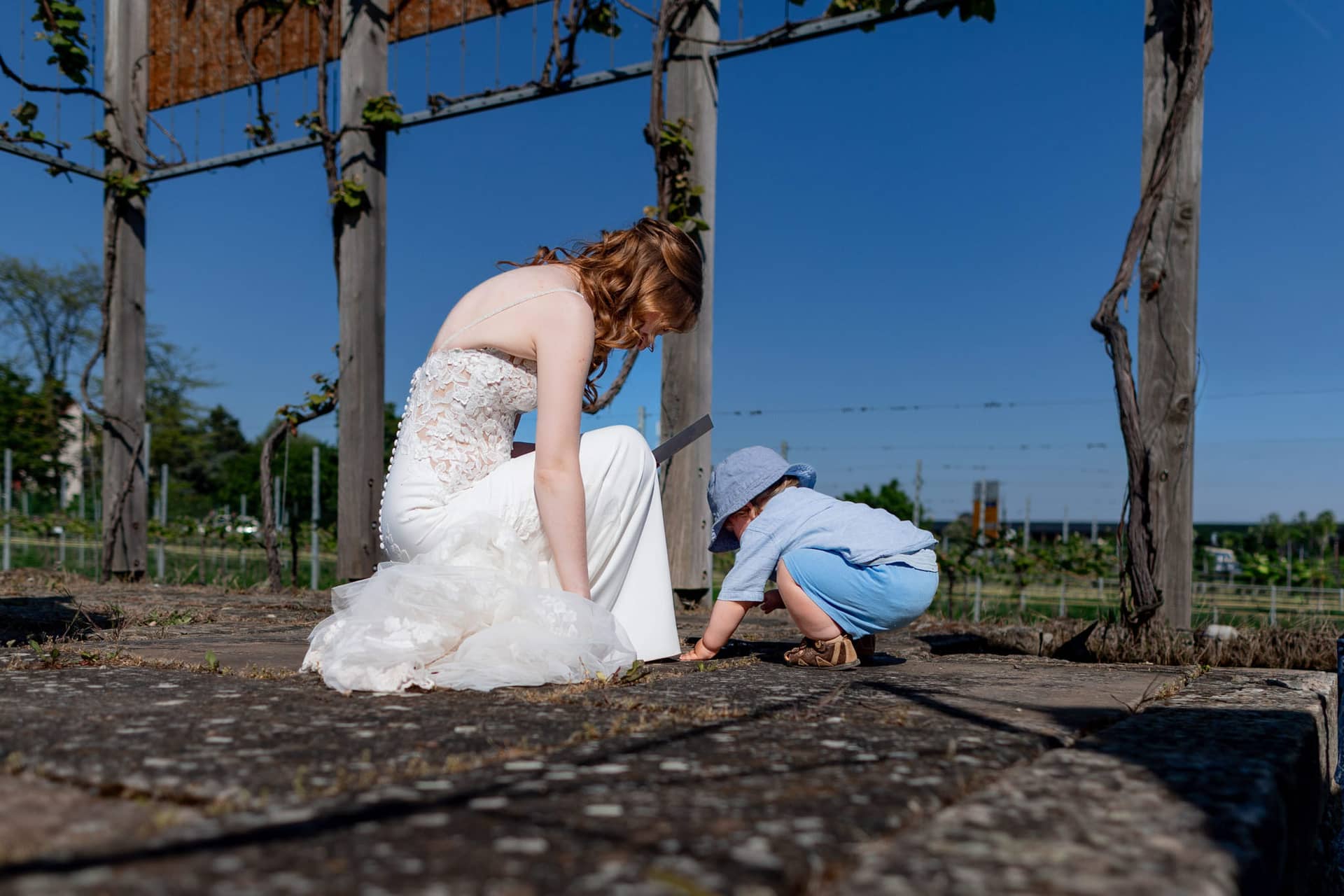 20250501 16 34 084K8A5229 Trauung Bad Duerkheim Fritz Ritter Hochzeitsfotograf.BF37gnCe Romantischer Kuss des Brautpaars zwischen grünen Weinreben