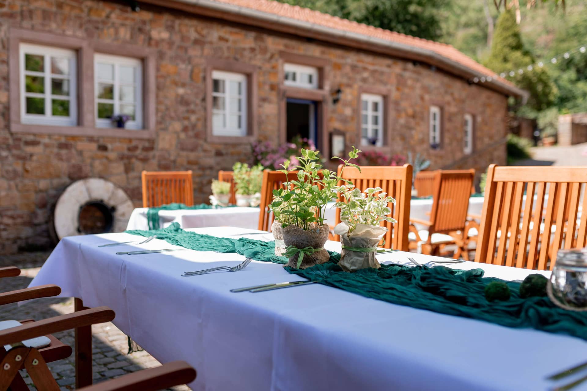 20250621 14 21 42 4K8A1377.3qCLkT F Garten mit Holzstühlen unter großem Baum für die Trauungszeremonie