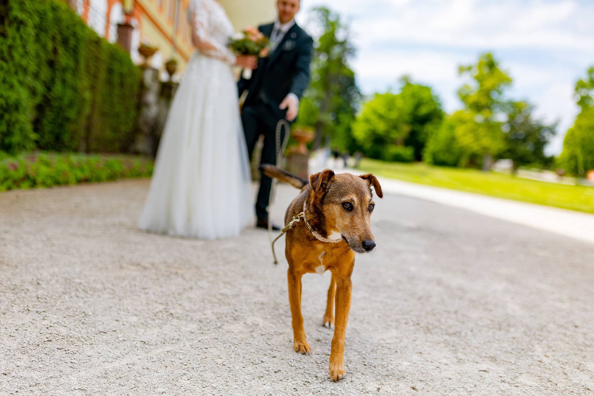 First Look Hochzeitsfotografie Tipps Fuer Brautpaare 4.DE0olUnC first-look-hochzeitsfotografie-tipps-fuer-brautpaare-4