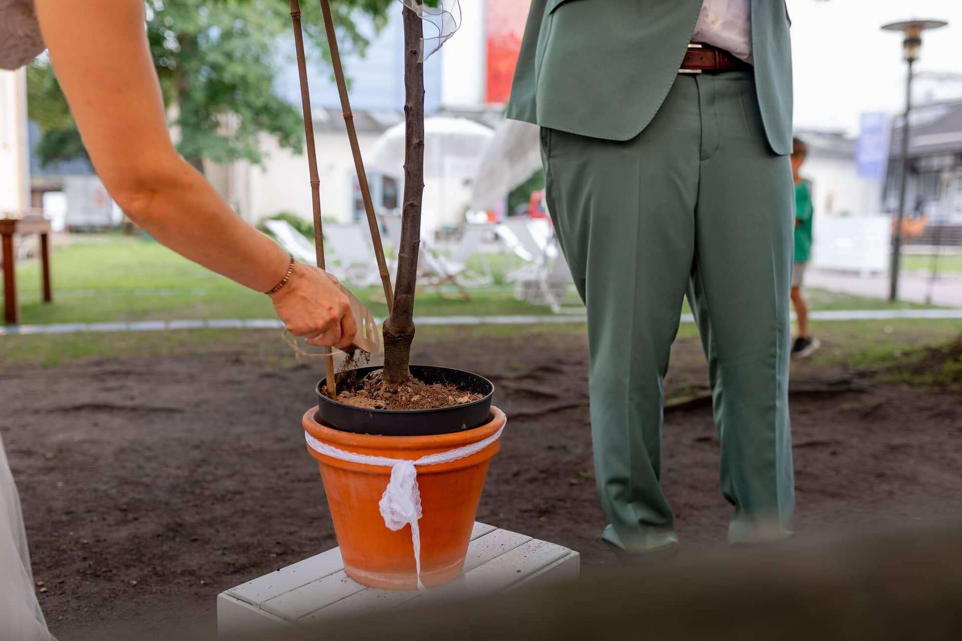 Hochzeitsfotograf Karlsruhe Daniela Matthias 20230819 15 39 18 4K8A7594.2p8dAboE Brautpaar pflanzt gemeinsam einen kleinen Baumsetzling in einen Topf – symbolisches Ritual bei der Zeremonie