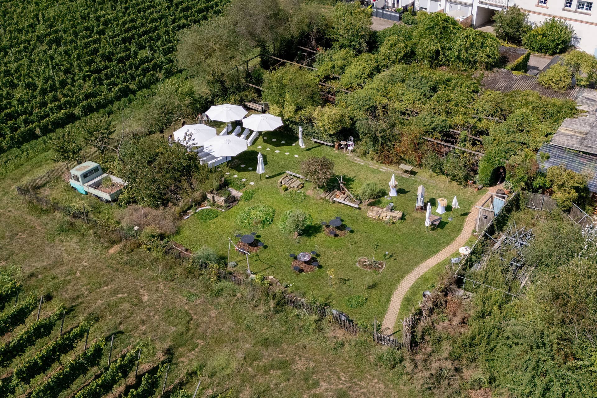 Hochzeitsfotograf Neustadt Hambacher Schloss Ruppertsberg Kellers Keller 22.I8wgnji0 Braut und Bräutigam tauschen Ringe unter Sonnenblumenbogen im Weinberg