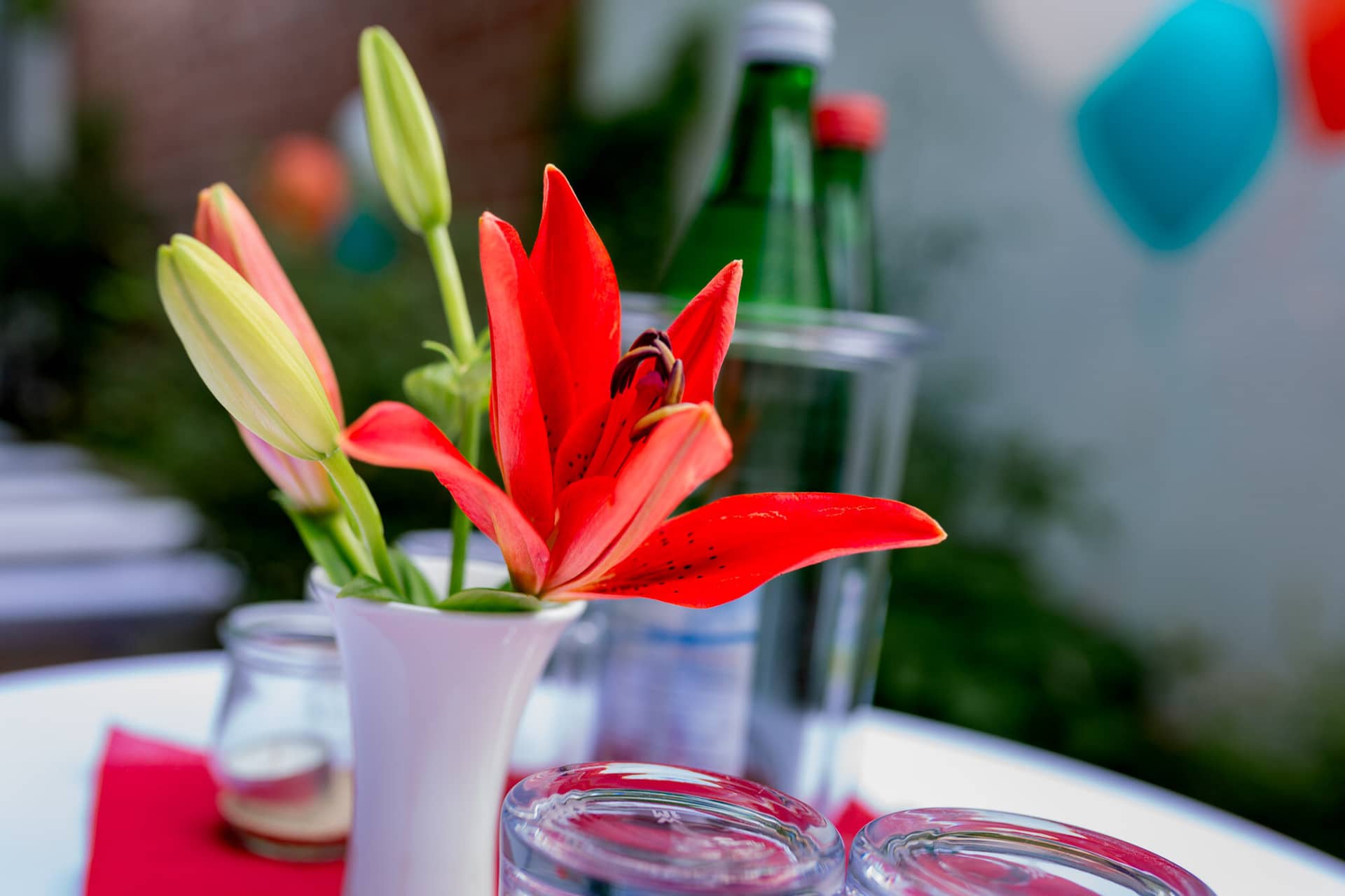 Jennifer Gregor Hochzeitsfotograf Rebe Deidesheim Location 02 Es Ist Ein Fotobild Von Einer.BWbF8PH5 Festlich dekorierter Tisch mit Blumenarrangement und karibischen Farben in der Rebe Deidesheim