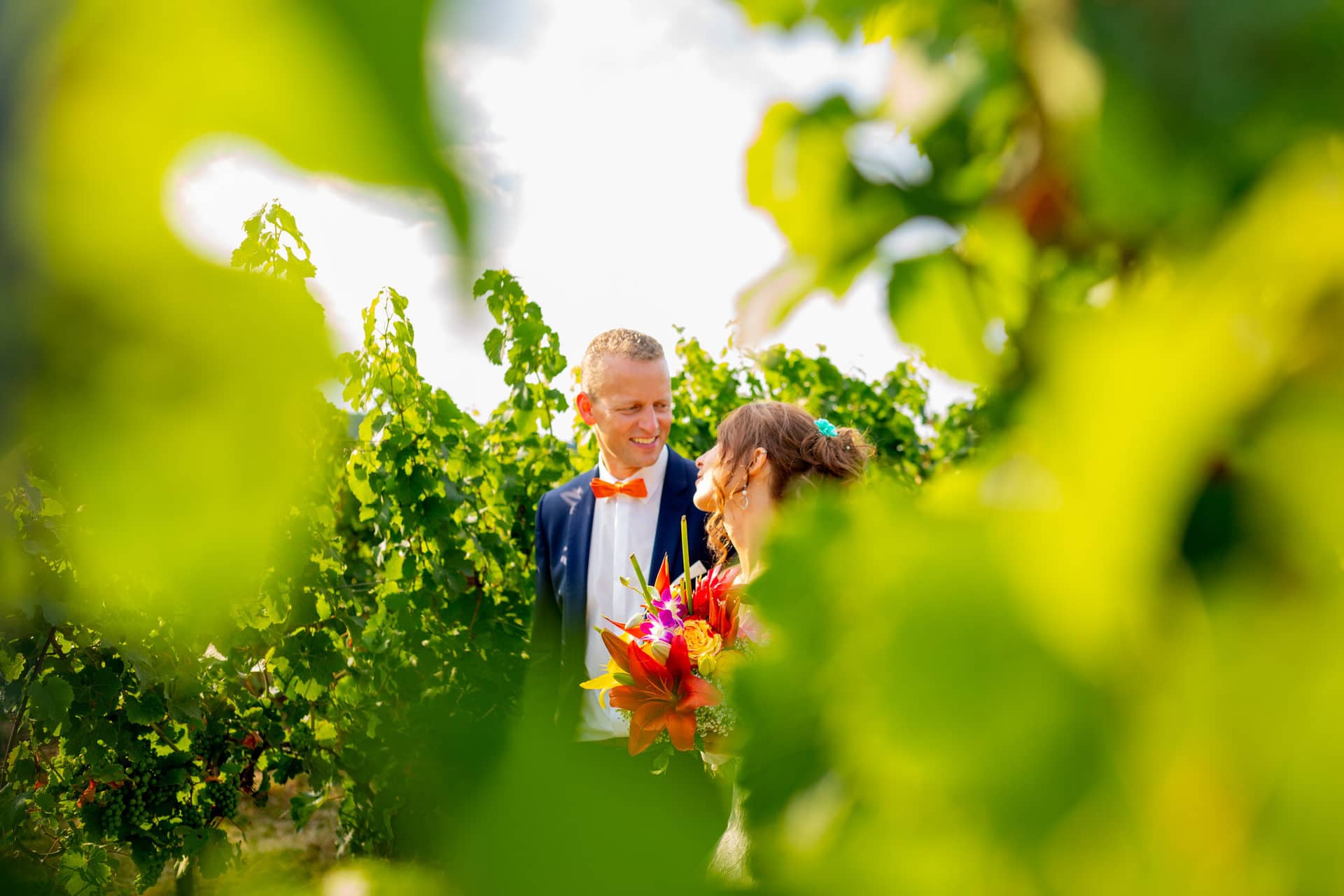 Jennifer Gregor Hochzeitsfotograf Rebe Deidesheim Location 27 Hochzeit Braut Und Braeutigam Am Weinberg.IoTzXqNR Jennifer und Gregor im Weinberg bei Deidesheim – Braut mit Blumenstrauß