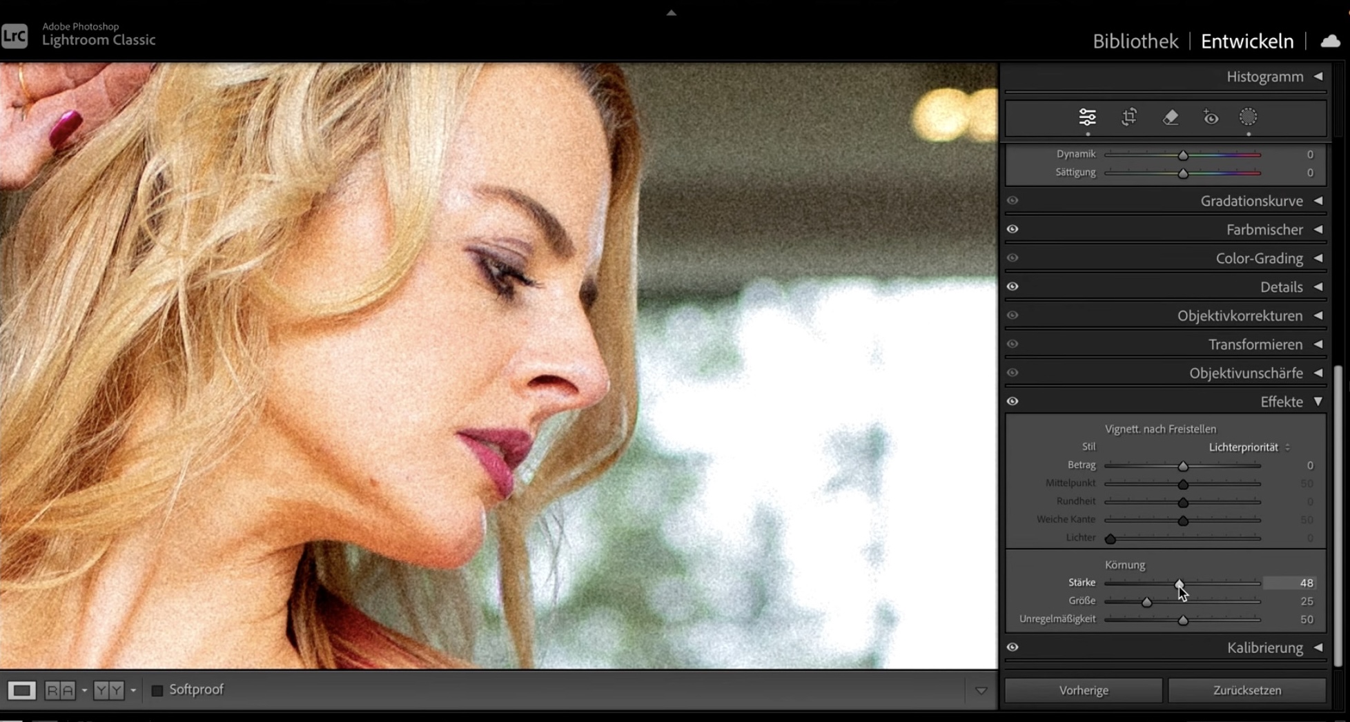 rauschen-hinzufuegen-um-das-bild-zusammenzubacken